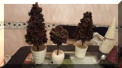 Pine Christmas trees.jpeg (51115 bytes)
